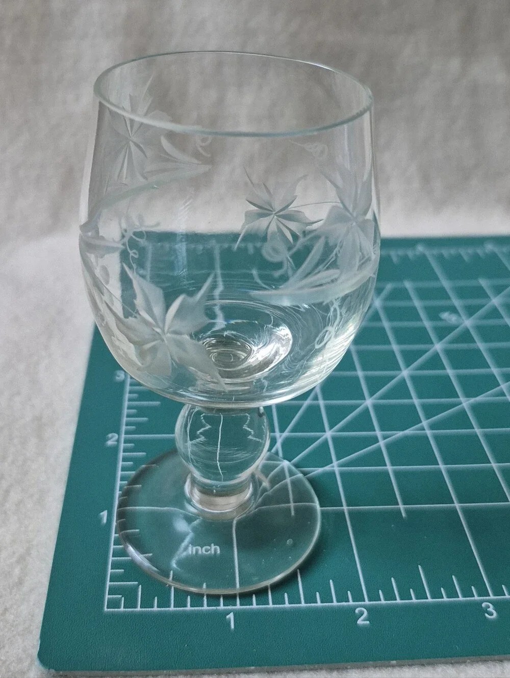 Vintage Etched Grape And Vine Brandy Stemmed Glasses - Clear (Set of 5)